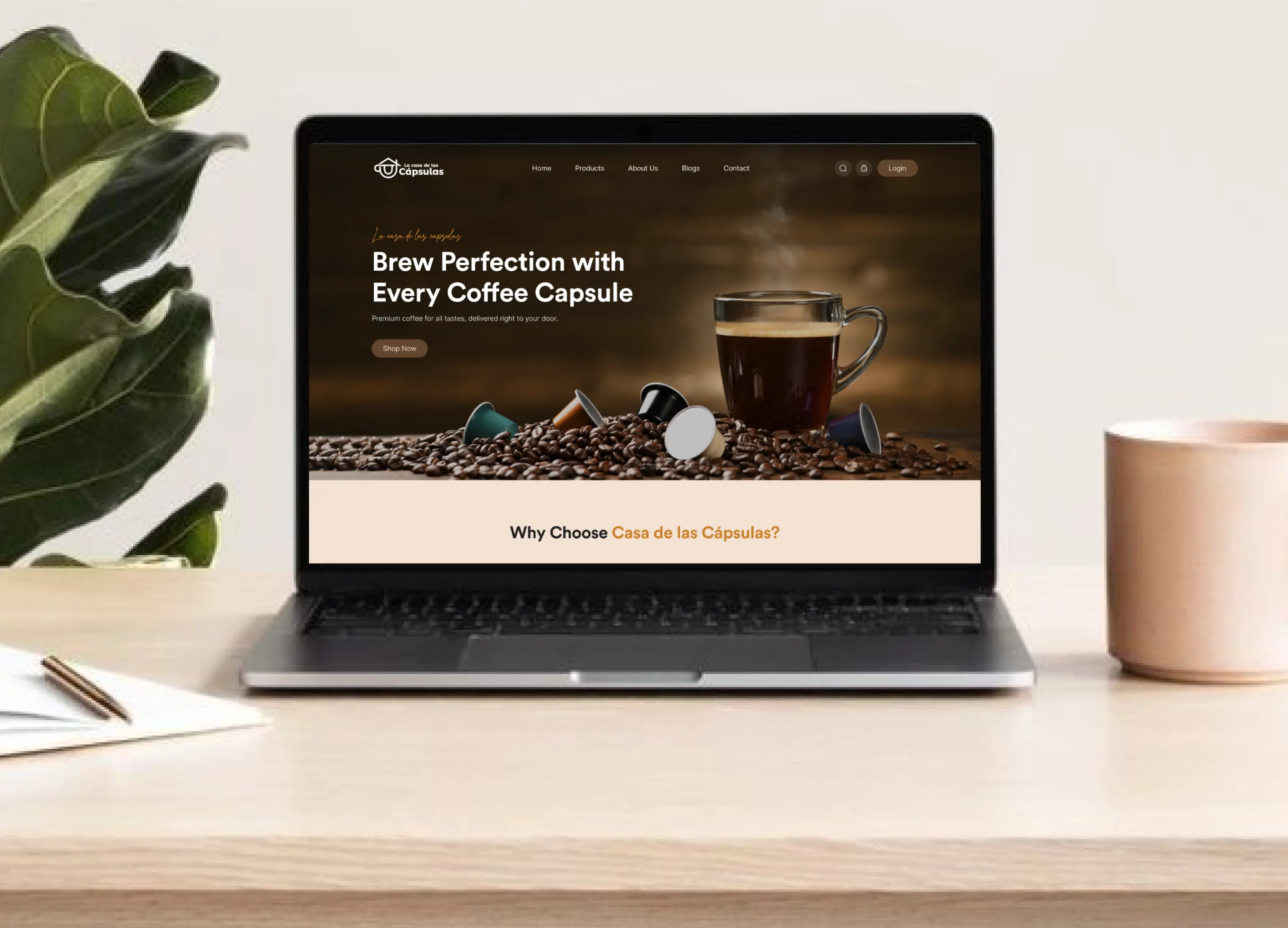 Ongoing Support & Maintenance