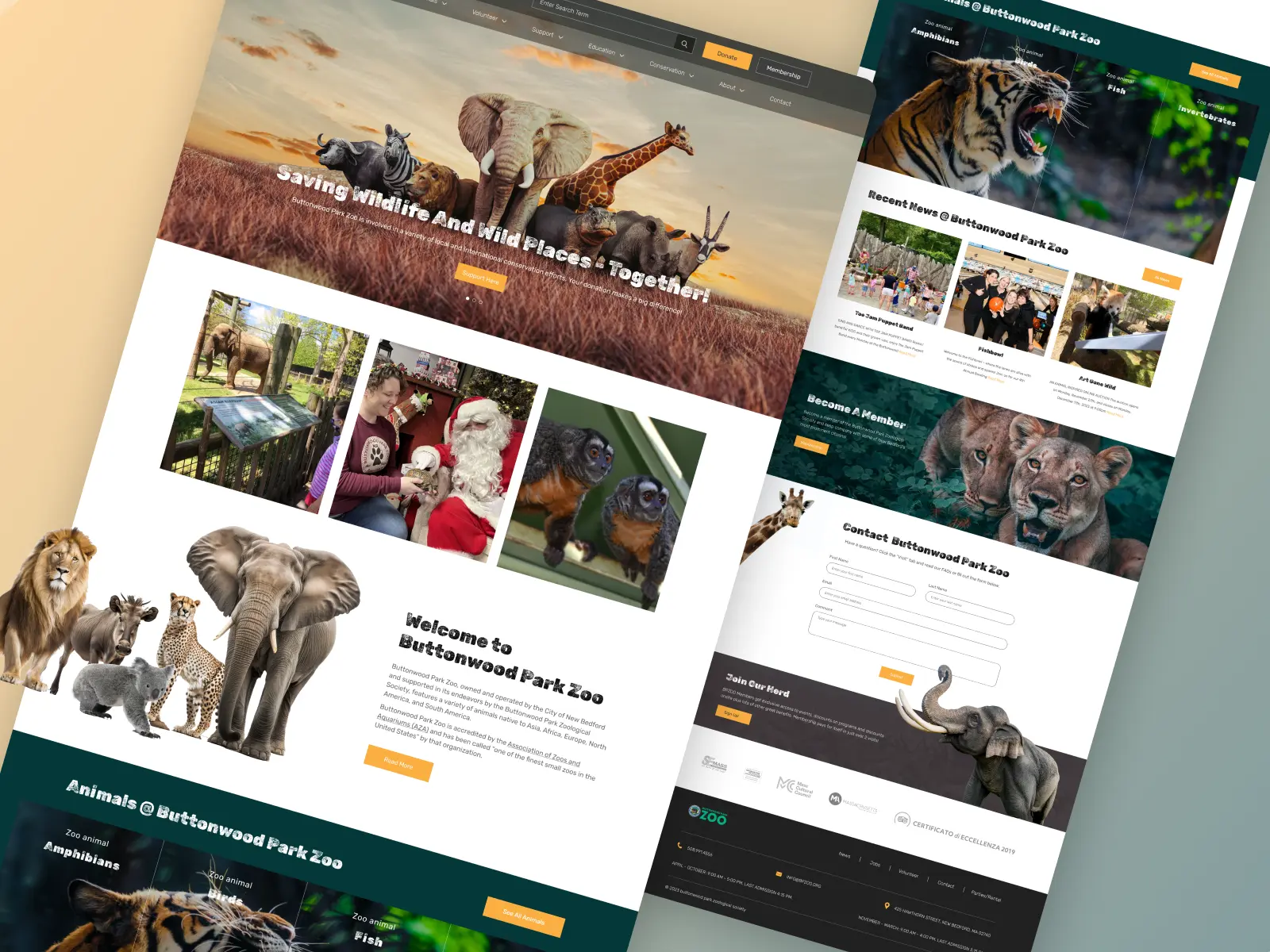 WordPress Development Team